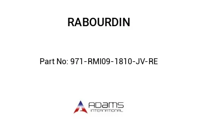 971-RMI09-1810-JV-RE