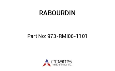 973-RMI06-1101