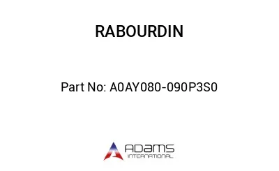 A0AY080-090P3S0